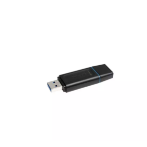 kingston DTX _imresizer